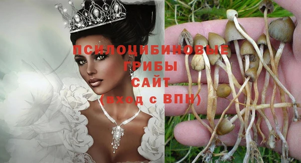 mdpv Балахна