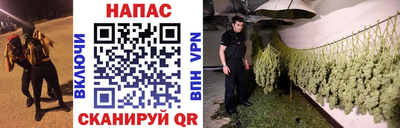 купить   Знаменск  Марихуана марихуана 